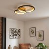 Baiyin Plafondlamp LED Goud, Zwart, 1-licht