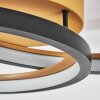 Baiyin Plafondlamp LED Goud, Zwart, 1-licht