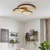 Baiyin Plafondlamp LED Goud, Zwart, 1-licht