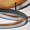 Baiyin Plafondlamp LED Goud, Zwart, 1-licht
