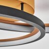 Baiyin Plafondlamp LED Goud, Zwart, 1-licht