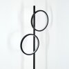 Firon Staande lamp LED Zwart, 2-lichts