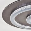 Lidor Plafondlamp LED Antraciet, Grijs, Zwart, 1-licht, Afstandsbediening