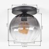 Koyoto Plafondlamp, Kogellampje 25 cm Duidelijk, Rookkleurig, 1-licht