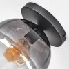 Koyoto Plafondlamp, Kogellampje 25 cm Duidelijk, Rookkleurig, 1-licht
