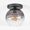 Koyoto Plafondlamp, Kogellampje 25 cm Duidelijk, Rookkleurig, 1-licht