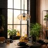 Mertola Hanglamp, Hanglamp Amber, Duidelijk, 1-licht