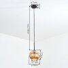 Ripoll Hanglamp, Kogellampje, Hanglamp Amber, 1-licht