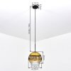 Ripoll Hanglamp, Kogellampje, Hanglamp Goud, Duidelijk, 1-licht