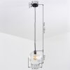 Ripoll Hanglamp, Kogellampje, Hanglamp Duidelijk, 1-licht