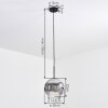 Ripoll Hanglamp, Kogellampje, Hanglamp Chroom, Duidelijk, Rookkleurig, 1-licht
