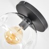 Ripoll Plafondlamp, Kogellampje Duidelijk, 1-licht