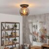 Ripoll Plafondlamp, Kogellampje Rookkleurig, 1-licht