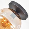 Ripoll Plafondlamp, Kogellampje Amber, 1-licht