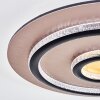 Lidor Plafondlamp LED Goud, Zwart, 1-licht, Afstandsbediening