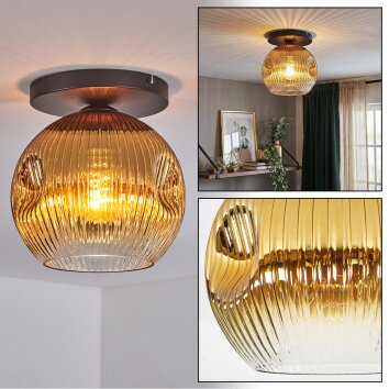 Ripoll Plafondlamp, Kogellampje Goud, Duidelijk, 1-licht