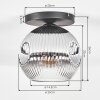Ripoll Plafondlamp, Kogellampje Chroom, Duidelijk, Rookkleurig, 1-licht