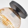 Ripoll Plafondlamp, Kogellampje Amber, Duidelijk, 1-licht
