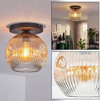 Ripoll Plafondlamp, Kogellampje Amber, Duidelijk, 1-licht