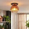 Ripoll Plafondlamp, Kogellampje Duidelijk, Koperkleurig, 1-licht