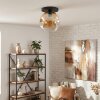 Ripoll Plafondlamp, Kogellampje Amber, Duidelijk, 1-licht