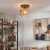 Ripoll Plafondlamp, Kogellampje Amber, Duidelijk, 1-licht