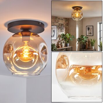 Ripoll Plafondlamp, Kogellampje Amber, Duidelijk, 1-licht