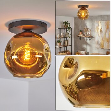 Ripoll Plafondlamp, Kogellampje Goud, 1-licht