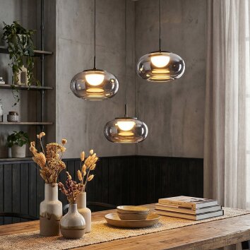 Ironel Hanglamp, Hanglamp LED Zwart, 1-licht