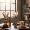 Ripoll Hanglamp, Kogellampje, Hanglamp Duidelijk, 1-licht