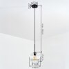 Ripoll Hanglamp, Kogellampje, Hanglamp Duidelijk, 1-licht