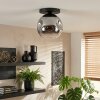 Ripoll Plafondlamp, Kogellampje Chroom, Duidelijk, Rookkleurig, 1-licht
