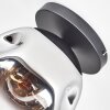 Ripoll Plafondlamp, Kogellampje Chroom, Duidelijk, Rookkleurig, 1-licht