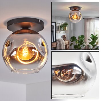 Ripoll Plafondlamp, Kogellampje Chroom, Duidelijk, Rookkleurig, 1-licht