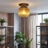 Koyoto Plafondlamp, Kogellampje 26 cm Goud, Duidelijk, 1-licht