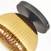 Koyoto Plafondlamp, Kogellampje 26 cm Goud, Duidelijk, 1-licht
