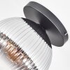 Koyoto Plafondlamp, Kogellampje 26 cm Duidelijk, Rookkleurig, 1-licht