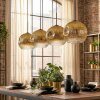Ripoll Hanglamp, Kogellampje, Hanglamp Goud, Duidelijk, 4-lichts