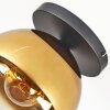 Koyoto Plafondlamp, Kogellampje 25 cm Goud, Duidelijk, 1-licht