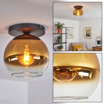 Koyoto Plafondlamp, Kogellampje 25 cm Goud, Duidelijk, 1-licht