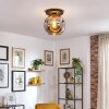 Ripoll Plafondlamp, Kogellampje Chroom, Rookkleurig, 1-licht