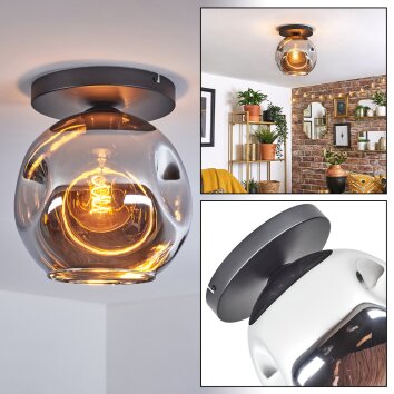 Ripoll Plafondlamp, Kogellampje Chroom, Rookkleurig, 1-licht