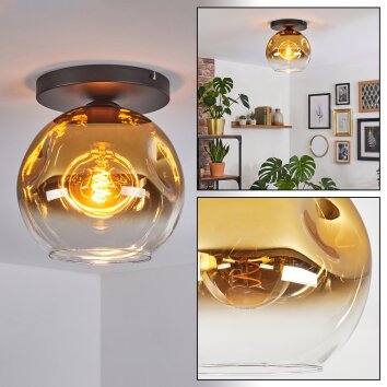 Ripoll Plafondlamp, Kogellampje Goud, Duidelijk, 1-licht