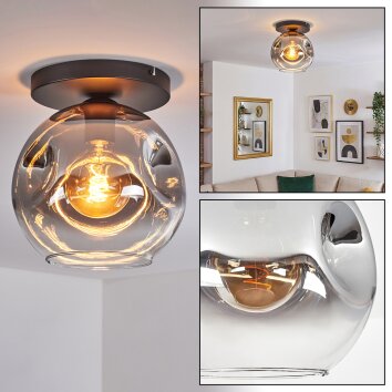 Ripoll Plafondlamp, Kogellampje Duidelijk, Rookkleurig, 1-licht