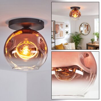 Ripoll Plafondlamp, Kogellampje Duidelijk, Koperkleurig, 1-licht