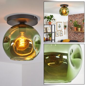Ripoll Plafondlamp, Kogellampje Groen, 1-licht