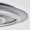 Lidor Plafondlamp LED Antraciet, Grijs, Zwart, 1-licht, Afstandsbediening