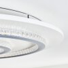 Lidor Plafondlamp LED Grijs, Wit, 1-licht, Afstandsbediening