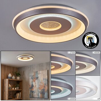 Dakon Plafondlamp LED Champagne, Wit, 1-licht