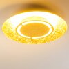 Mala Plafondlamp LED Goud, 1-licht